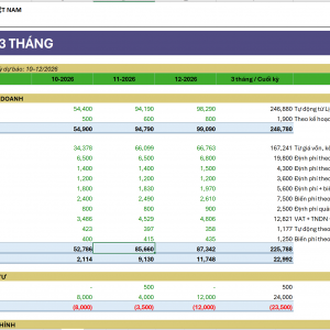 File Excel dự báo dòng tiền doanh nghiệp sản xuất - thương mại