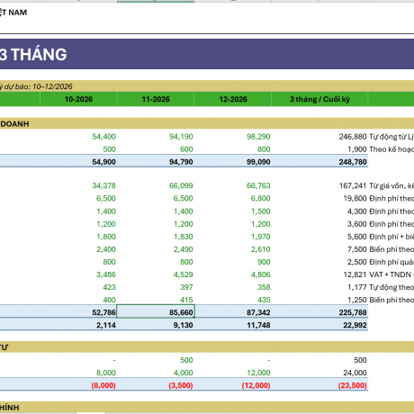 File Excel dự báo dòng tiền doanh nghiệp sản xuất - thương mại